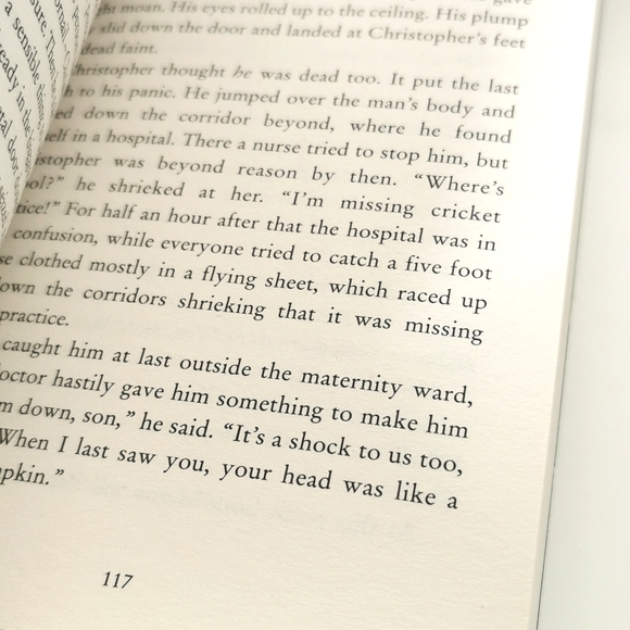 BOOKS | The Lives of Christopher Chant/Mixed Magics by Diana Wynne Jones - Picture 4 of 4